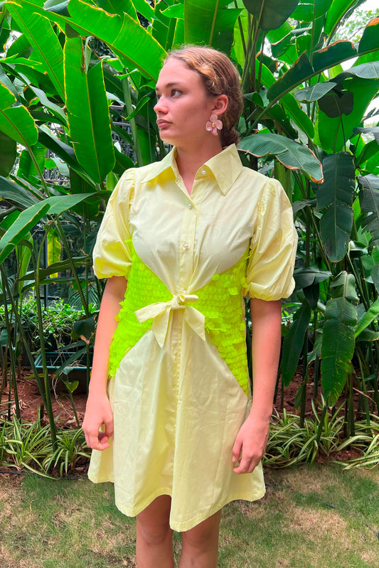 Yellow Sequin Belt Dress