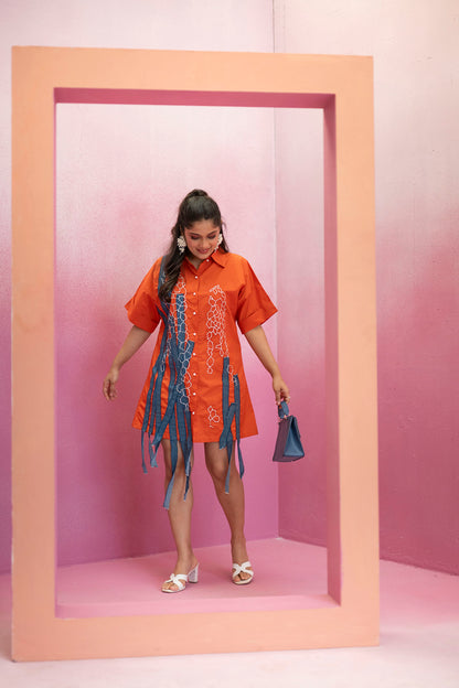 Shirtdress with Denim Tassels and Hand Embroidery