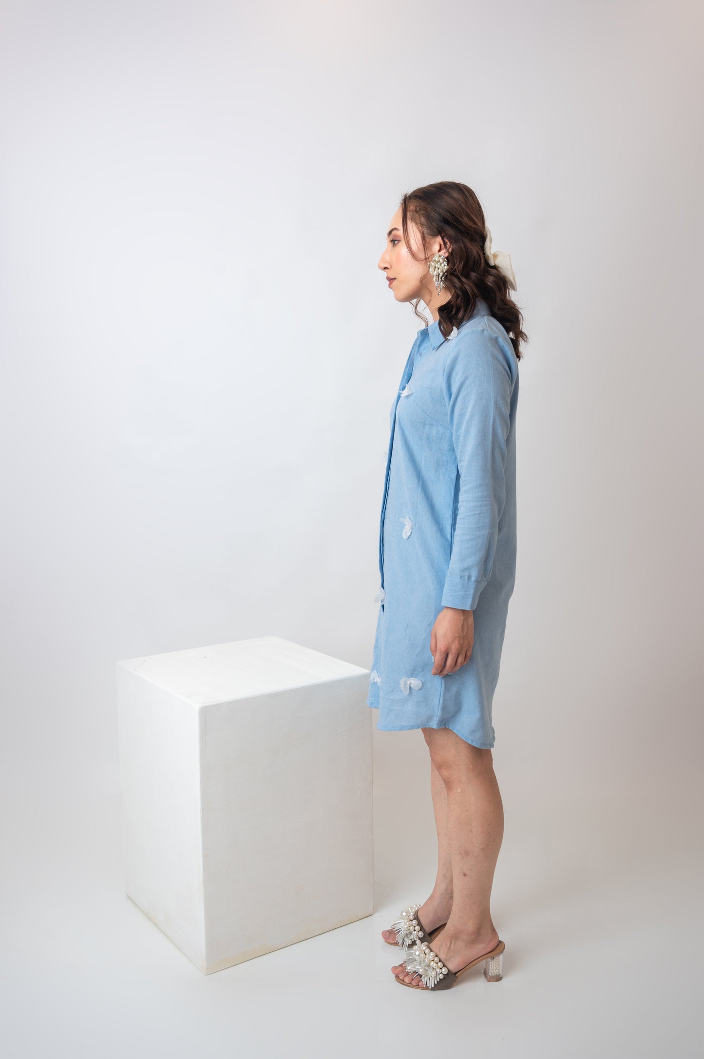 Chambray Shirtdress With Bows